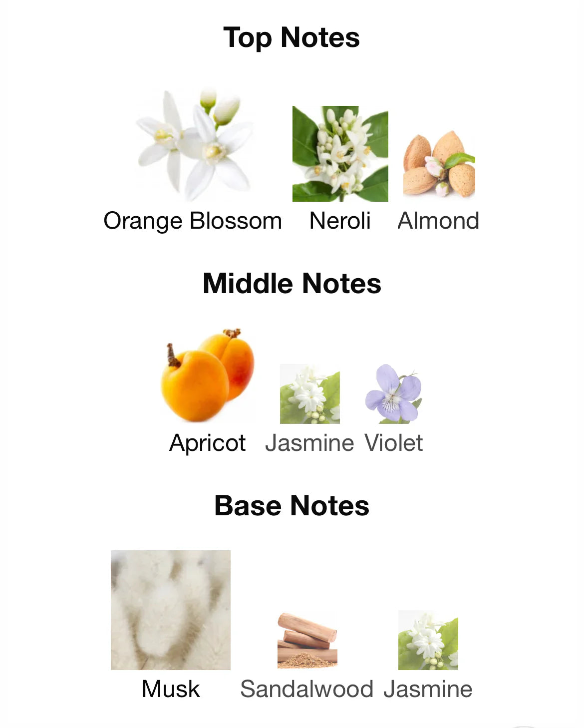عطر أروغيت بينك من عساف