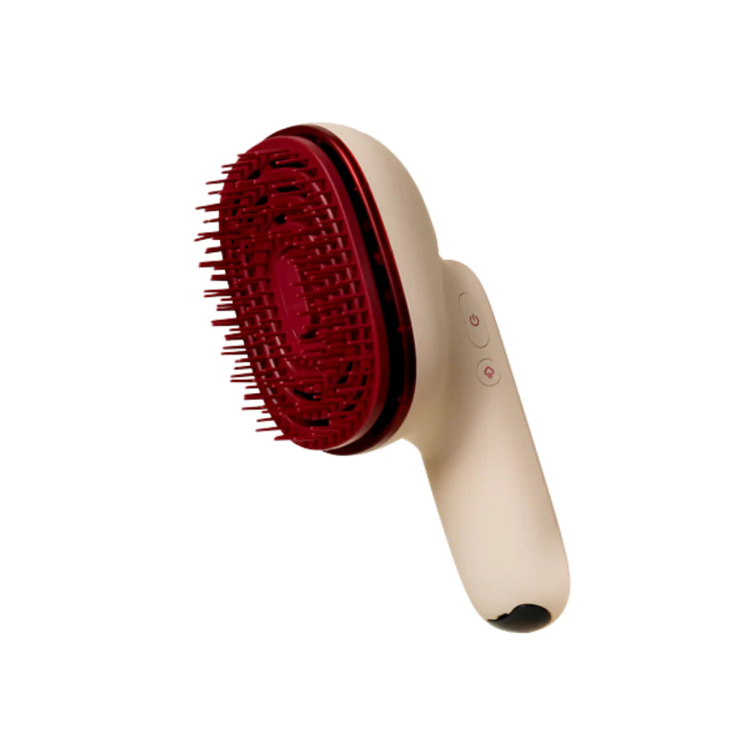 MOEV Pro Hair Steamer Tool
