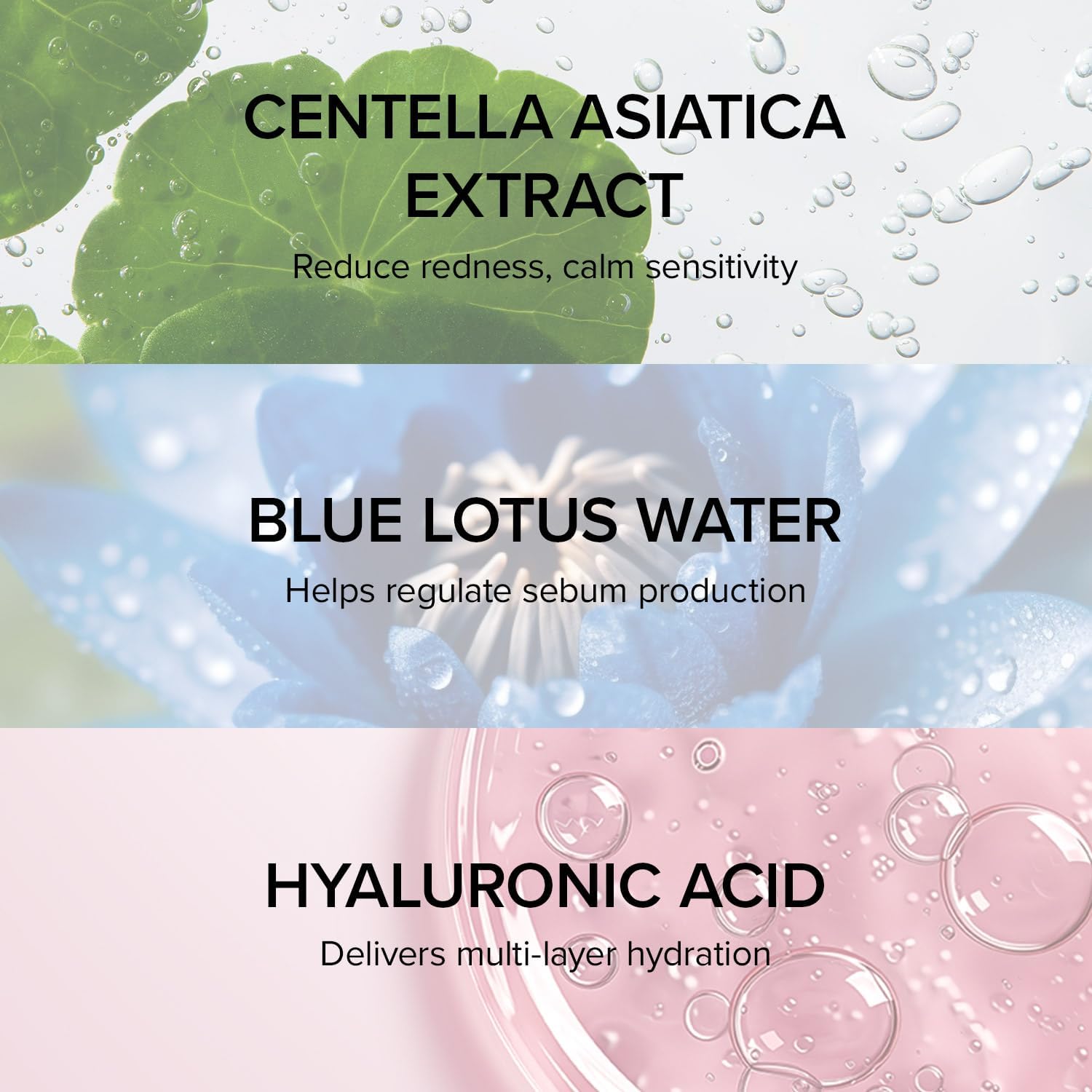 خلاصة التوت الأسود النباتية من ماري آند ماي