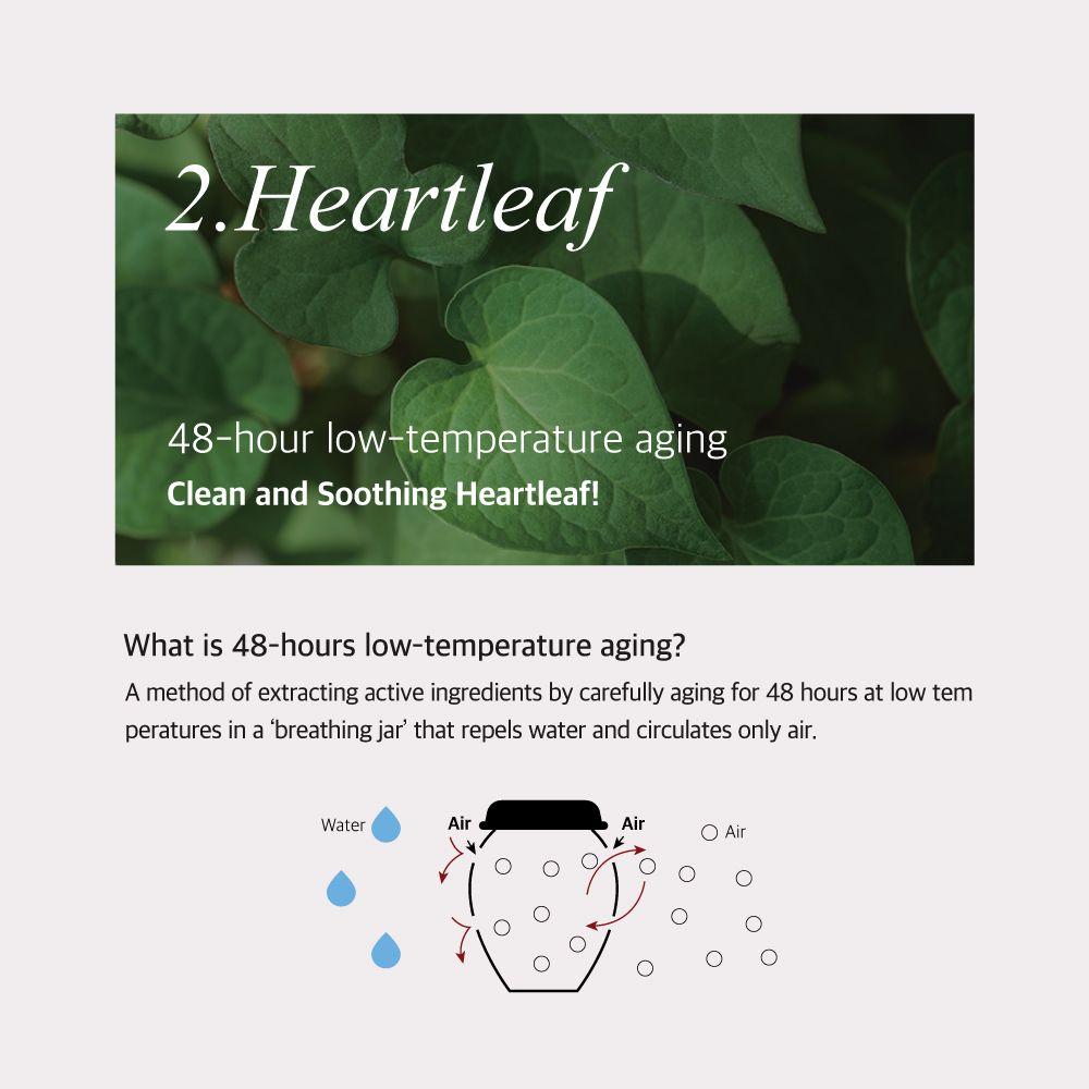 ميكسون إتش سي تي إيسنس